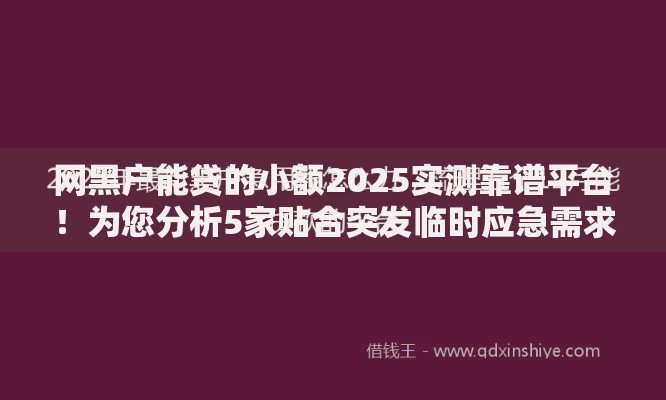 网黑户能贷的小额2025实测靠谱平台！为您分析5家贴合突发临时应急需求的网贷平台