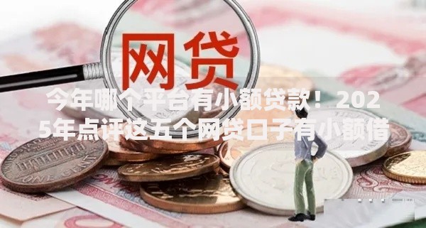 今年哪个平台有小额贷款！2025年点评这五个网贷口子有小额借钱