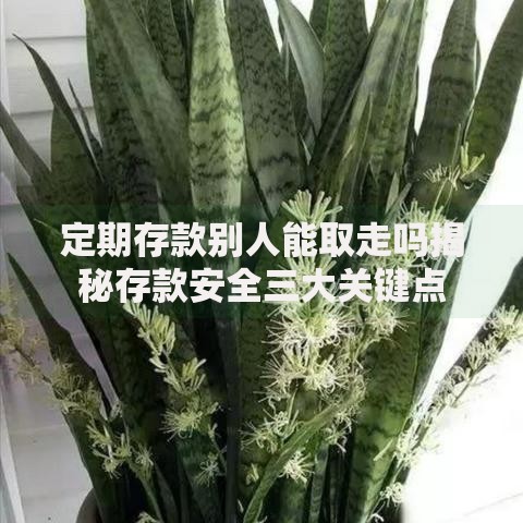定期存款别人能取走吗揭秘存款安全三大关键点