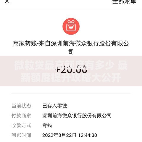 微粒贷最高额度有多少 最新额度提升攻略大公开
