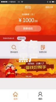 今年黑户贷款口子 app，总结这5个网贷口子软件借钱渠道多