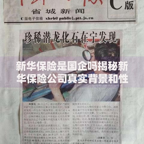 新华保险是国企吗揭秘新华保险公司真实背景和性质