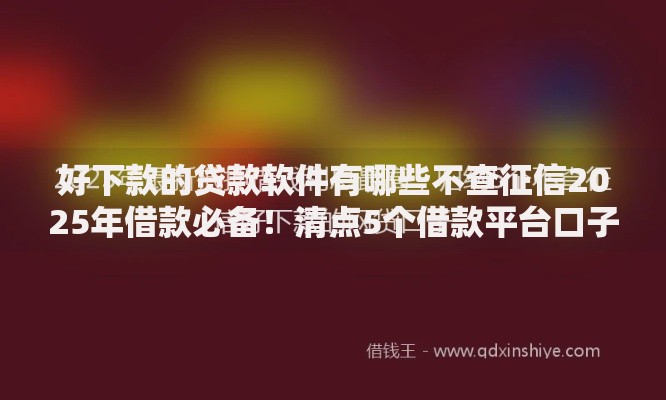 好下款的贷款软件有哪些不查征信2025年借款必备！清点5个借款平台口子不查征信网贷