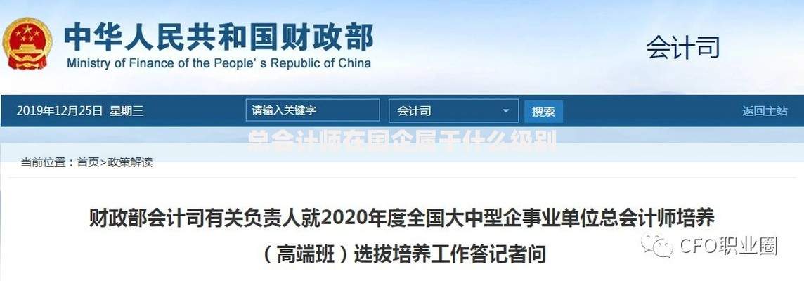 总会计师在国企属于什么级别