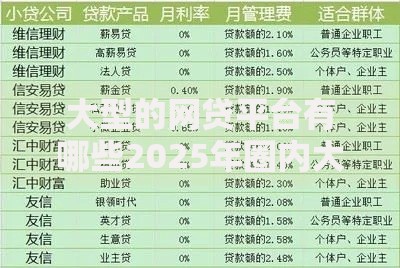 大型的网贷平台有哪些2025年圈内大额实料！今日概括5个小额贷款收入证明