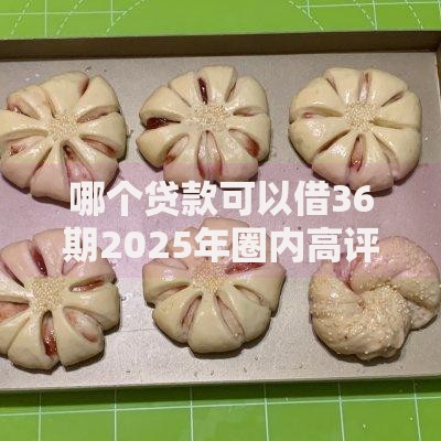 哪个贷款可以借36期2025年圈内高评推荐！本篇说明5个网贷口子可以借36期借款