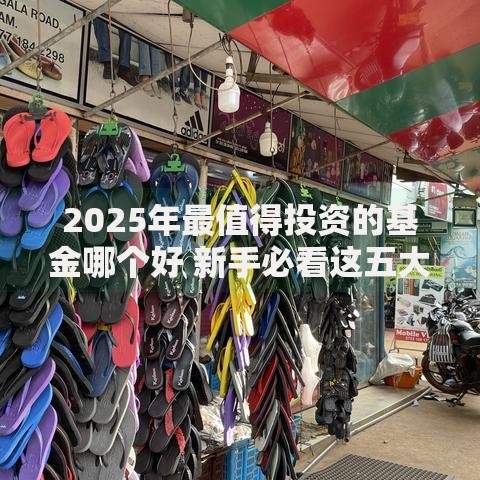 2025年最值得投资的基金哪个好 新手必看这五大优质基金推荐