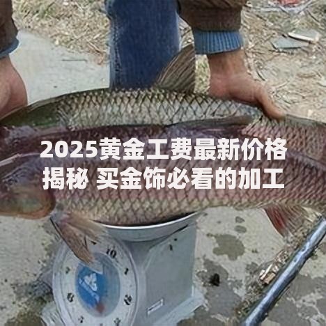 2025黄金工费最新价格揭秘 买金饰必看的加工费省钱指南