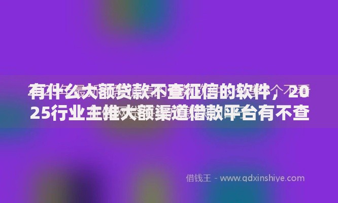 有什么大额贷款不查征信的软件，2025行业主推大额渠道借款平台有不查征信的网贷