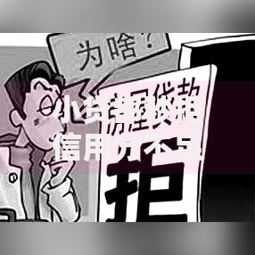 小贷都秒拒信用分不足10月鲜为人知的！本文为您隆重细说！