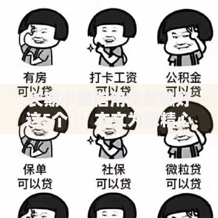 长期小额信用贷款瞧好这5个​！本文为您精心归档！