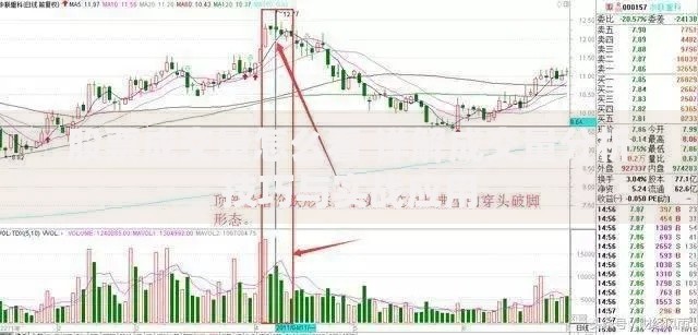 股票成交量怎么看 详解成交量分析技巧与实战应用