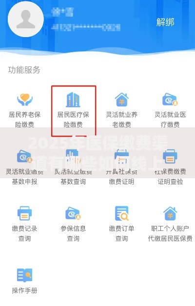 2025年医保缴费渠道有哪些如何线上缴纳城乡居民医疗保险