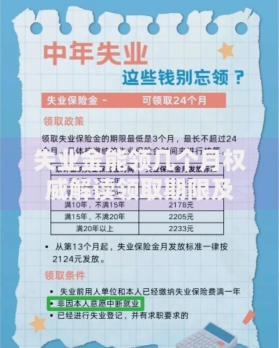 失业金能领几个月权威解读领取期限及延长方法