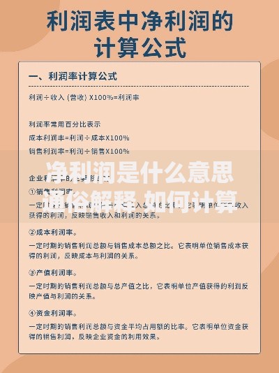 净利润是什么意思通俗解释 如何计算净利润公式