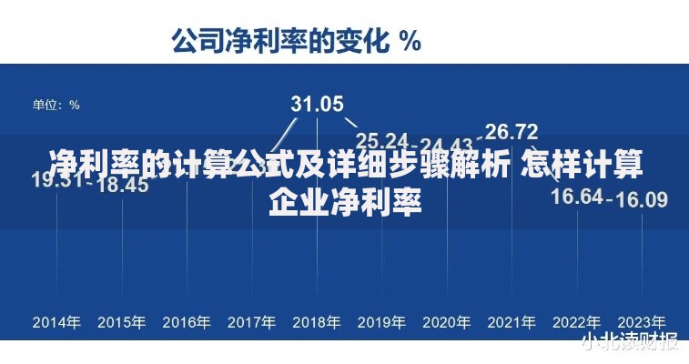 净利率的计算公式及详细步骤解析 怎样计算企业净利率