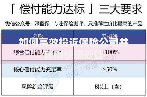 如何高效投诉保险公司并获得快速处理