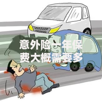 意外险一年保费大概需要多少钱