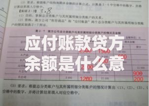 应付账款贷方余额是什么意思？会计新手必懂的财务知识点