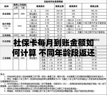 社保卡每月到账金额如何计算 不同年龄段返还标准详解