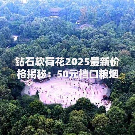 钻石软荷花2025最新价格揭秘：50元档口粮烟实测性价比解析