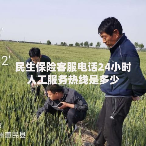 民生保险客服电话24小时人工服务热线是多少