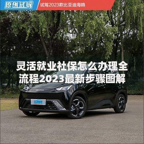 灵活就业社保怎么办理全流程2023最新步骤图解教程
