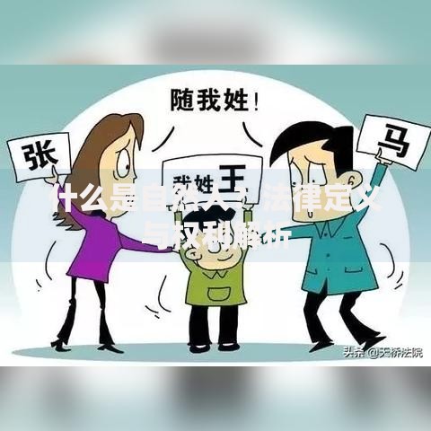 什么是自然人？法律定义与权利解析