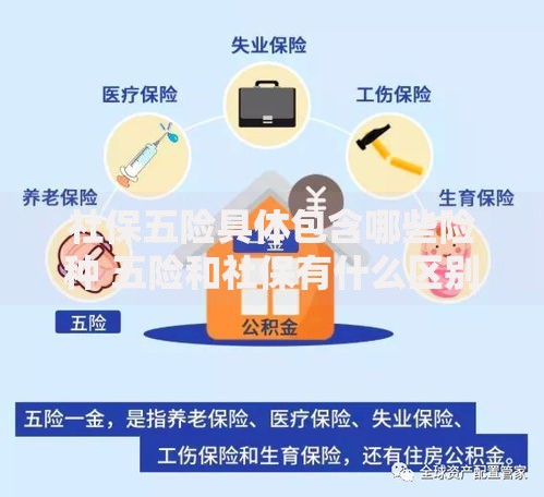 社保五险具体包含哪些险种 五险和社保有什么区别