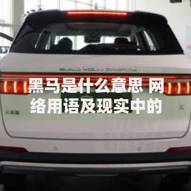 黑马是什么意思 网络用语及现实中的黑马含义解析