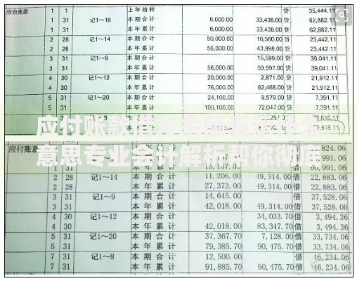 应付账款借方余额表示什么意思专业会计解析帮你彻底搞懂