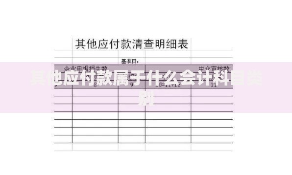 其他应付款属于什么会计科目类别