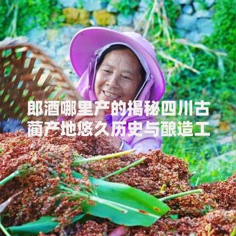 郎酒哪里产的揭秘四川古蔺产地悠久历史与酿造工艺
