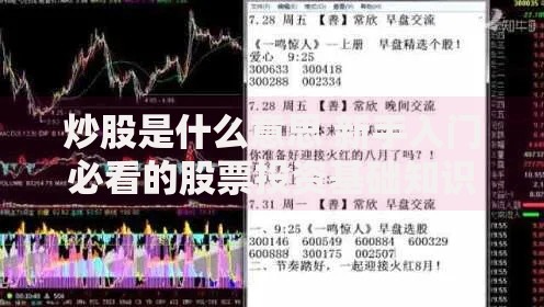 炒股是什么意思 新手入门必看的股票投资基础知识全解析