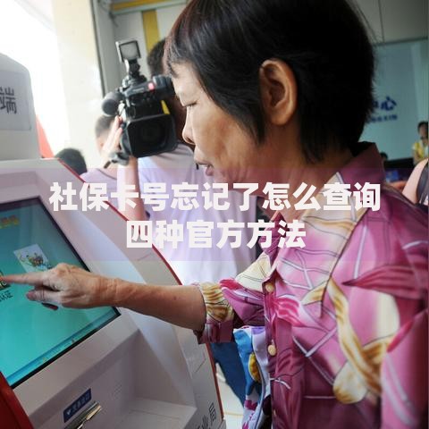 社保卡号忘记了怎么查询四种官方方法