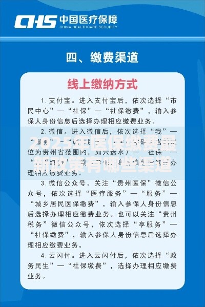 2025年医保缴费最新政策有哪些渠道可以网上办理