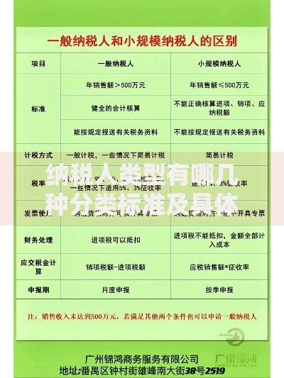 纳税人类型有哪几种分类标准及具体划分