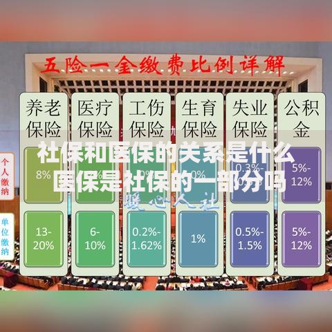 社保和医保的关系是什么 医保是社保的一部分吗