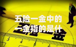 五险一金中的一金指的是什么 住房公积金详细解读