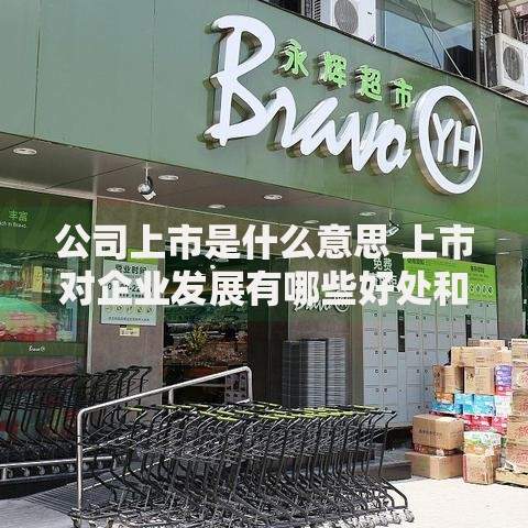 公司上市是什么意思 上市对企业发展有哪些好处和风险