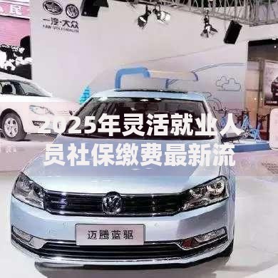 2025年灵活就业人员社保缴费最新流程及常见问题解答