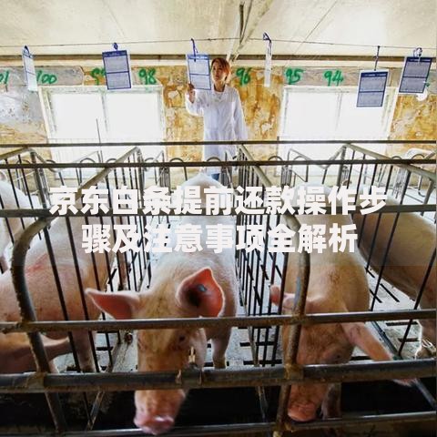 京东白条提前还款操作步骤及注意事项全解析