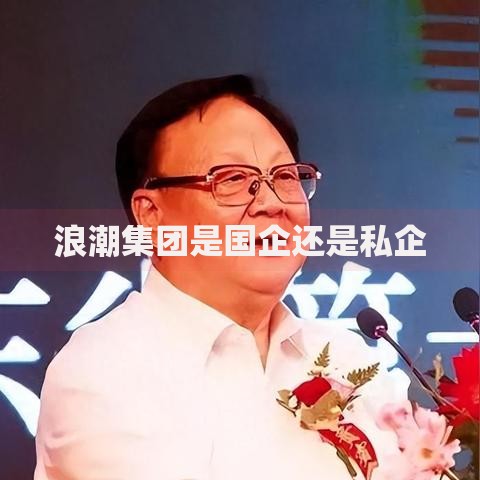 浪潮集团是国企还是私企