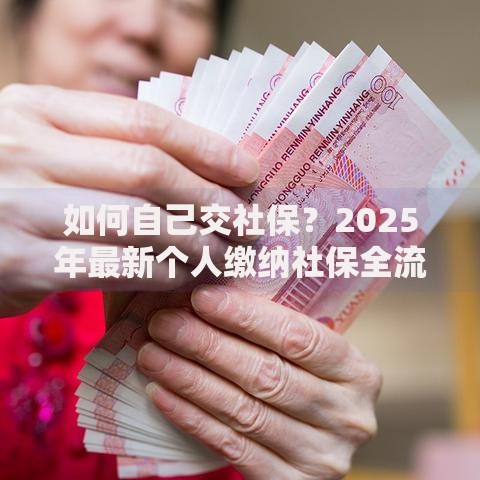 如何自己交社保？2025年最新个人缴纳社保全流程详解