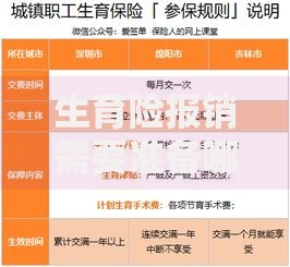 生育险报销需要准备哪些材料2025年最新规定