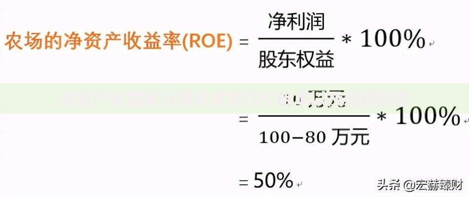 净资产收益率计算公式有几个版本以及适用场景