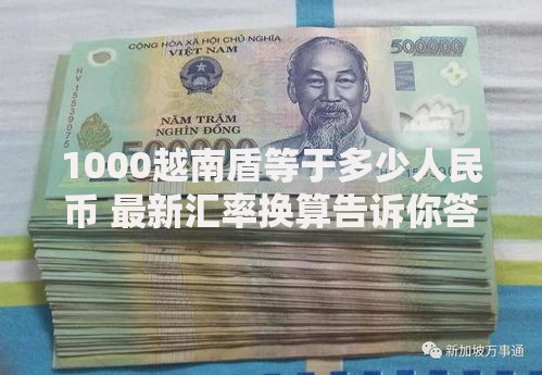1000越南盾等于多少人民币 最新汇率换算告诉你答案