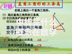 中线是什么概念在数学和医学中的区别