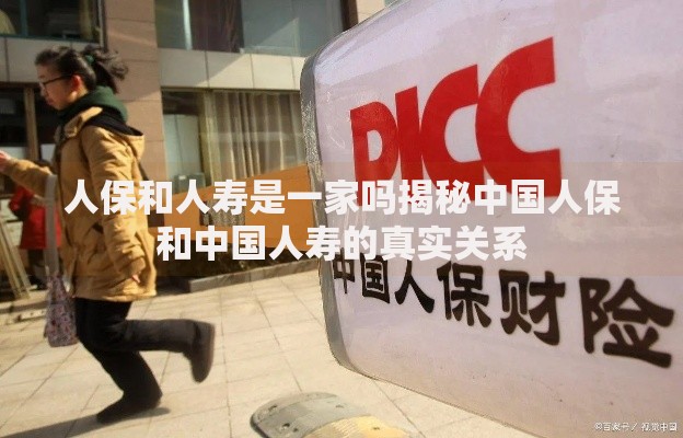人保和人寿是一家吗揭秘中国人保和中国人寿的真实关系