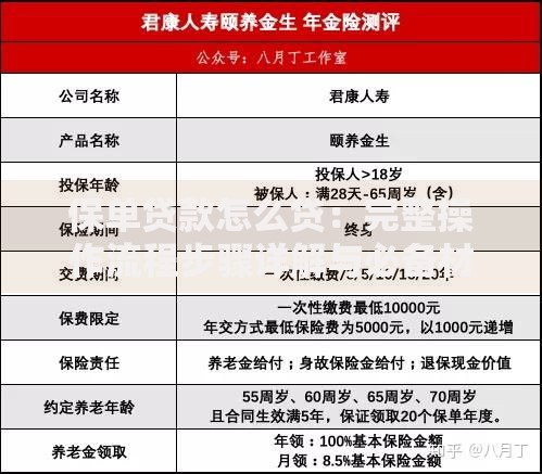 保单贷款怎么贷：完整操作流程步骤详解与必备材料清单